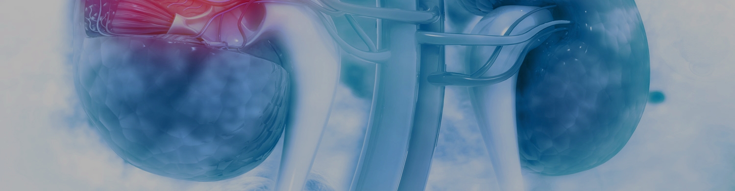 Halcyon Urology & Oncology